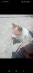 Milly
