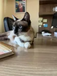 Kit