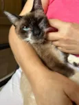 Kit