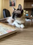 Kit
