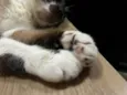 Kit