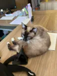 Kit