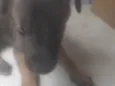 Bebê 2