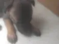 Bebê 2