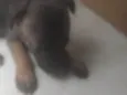 Bebê 2
