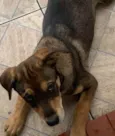 Pierre