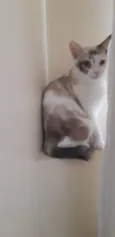 Olivia