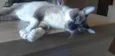 Kit