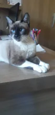 Kit