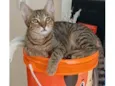 Nick