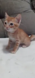 Juliano