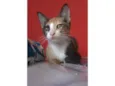 Amy