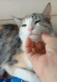 Penélope 