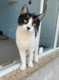 Maggie