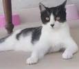 Maggie