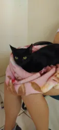 Pretinho