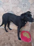 NEGUINHA