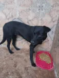 NEGUINHA