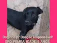NEGUINHA