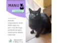 Manu