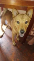 Kadu