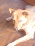 Kadu