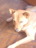 Kadu