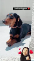 Pituca