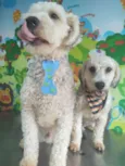 Laio e Valentina