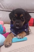    Marco