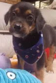    Marco