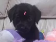 Lulu