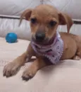 Penny
