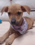 Penny
