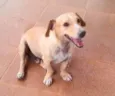 Baixinho