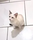 ANANDA