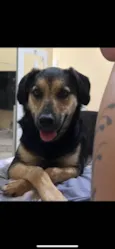 Kiara 