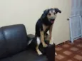 Kiara 