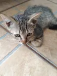 Bebê