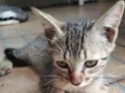 Bebê 