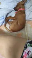 Beny