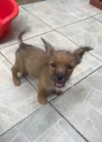 Barthô