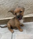 Barthô