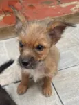 Barthô