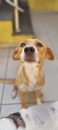 Lua