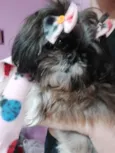 TCHUCA