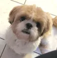 Nick 