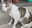 Tina