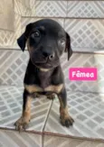 Berenice - Berê