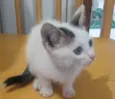Nãni